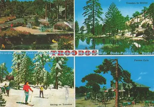D296810 Troodos. Fereos Cafe. Mount Olympus. Mona. Multi View