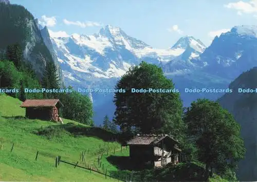 D296817 Wengen. Dorfpartie Innerwengen Mit Breithorn. Tschingelhorn. Fritz Lauen