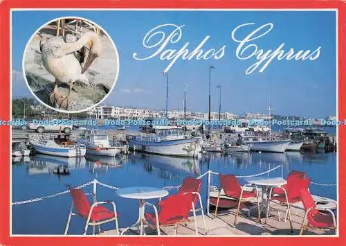 D293930 Paphos Zypern. Angelhäfen. K. N. Papadopoulos Merchants. Multi Vie