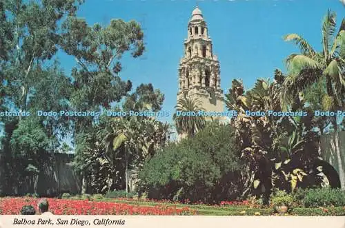 D293937 California. San Diego. Balboa Park. Road Runner Karte. Mike Roberts. Die