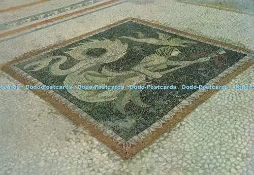 D293955 Delos. Das Mosaik aus Tritonid und Eros. Ben