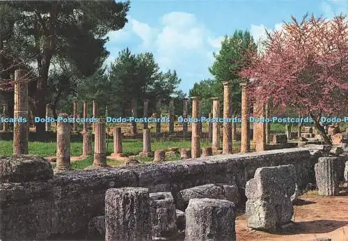 D290035 Olympia. Die Palestra. Kappa. Hellas