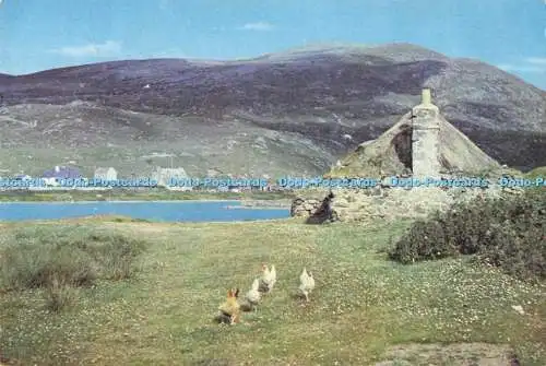 D290045 Leverburgh. South Harris. J. Arthur Dixon. Inverness. Schottland. J. L. Ro