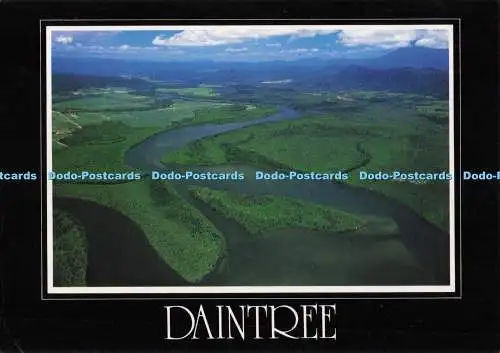 D291765 Daintree. Nth. Alt. Peer Productions. 1989