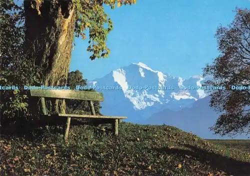 D293983 Jungfrau. Arthur Baur