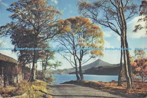D291790 Herbsttöne am Loch Rannoch. Schiehallion in der Ferne. G. und G. Pon