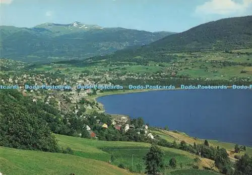 D290096 Norwegen. Voss. Normann