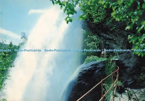 D290103 Norwegen. Steindalsfoss Wasserfall. Norheimsund Hardanger. Normann