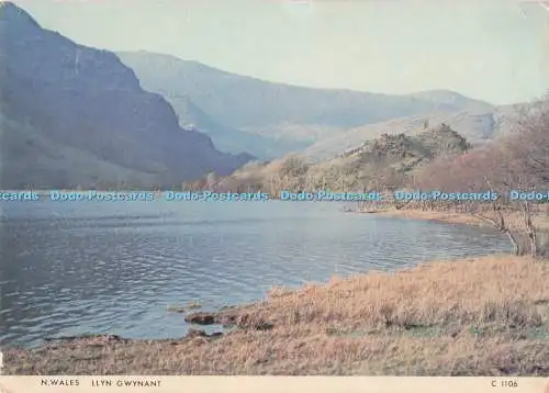 D294030 N. Wales. Llyn Gwynant. Richter. C. 1106