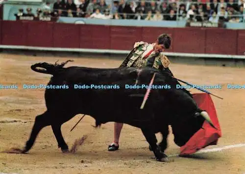 D296924 El Cordobes. Ein klassischer Naturpass von El Cordobes. A. Campana. J. Pui