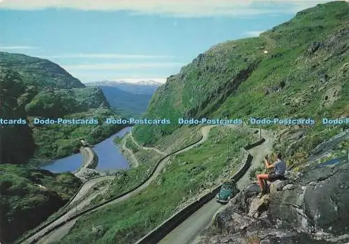 D290105 Norwegen. Blick auf die Seljestadjuvet-Schlucht in Richtung Folgefonnen-Gletscher. Norman