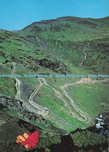 D290106 Norwegen. Ein Schnitt von der Straße, die Voss und Sogn verbindet. Aune