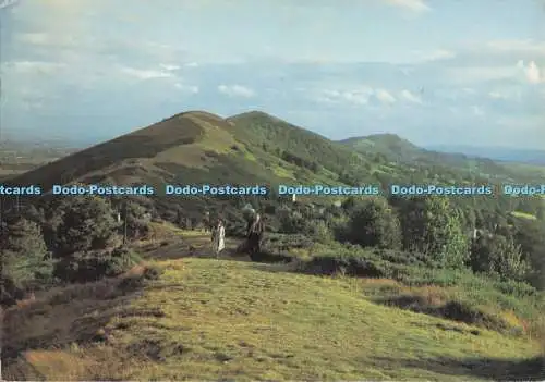 D291839 Sommerabend auf den Malvern Hills. Kings Norton Press. Ein Winsorfuchs