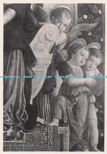 D294050 Verona. Engel. Detail des Triptychons. Andrea Mantegna. F. lli Alinari.