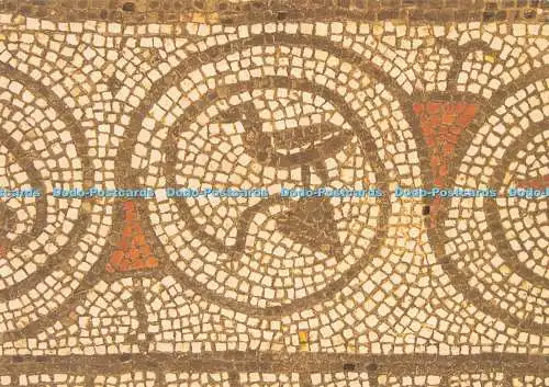 D294054 Fishbourne Roman Palace. A Little Black Bird Trade Mark Left by the Mosa