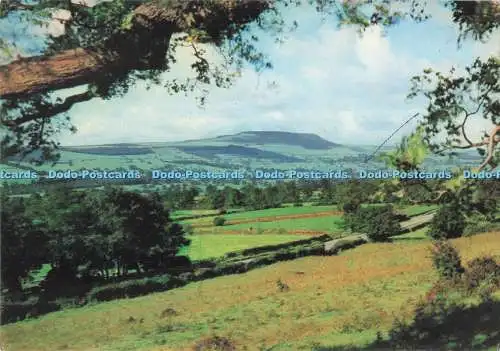 D291850 Yorkshire. Wensleydale. Penhill von Leyburn Schal. Walter Scott. Bradfo