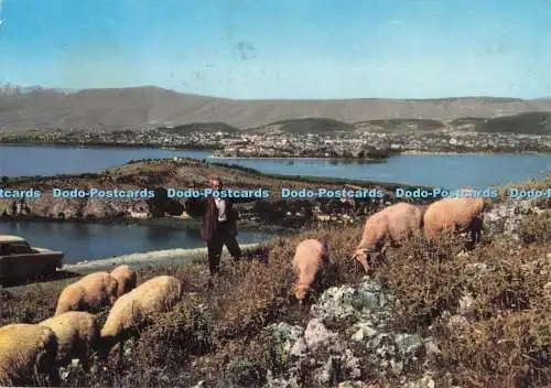 D296950 Jannina. Die Insel im See und die Stadt. Delta