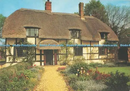 D294058 A New Forest Cottage. J. Salmon. Sevenoaks. Kent