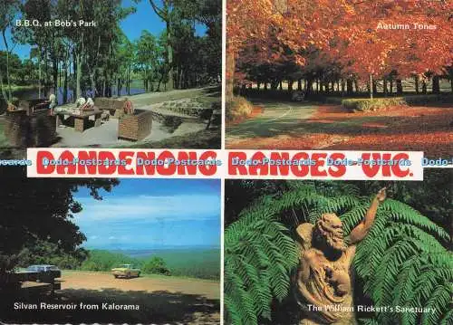 D291873 Dandenong-Bereiche. Vic. B. B. Q. Im Bob Park. Nucolorvue Produktion. Mult