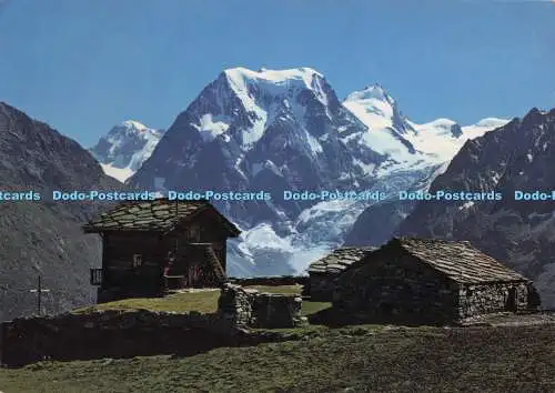 D291890 Arolla. Wallis. Alpe de Pra Gra. Klopfenstein