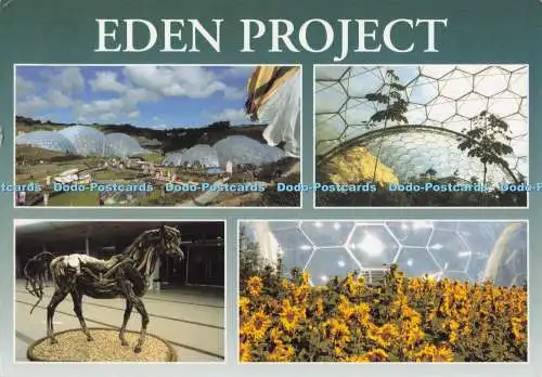 D297009 Eden Project. Cornwall. Keltische Szene. Cornwall. U. K. Charles Francis. M