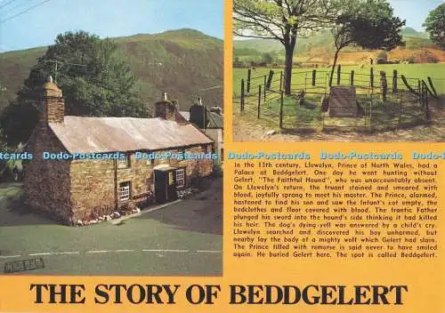 D294130 Die Geschichte von Beddgelert. Geliergrab. J. Arthur Dixon. Multi View