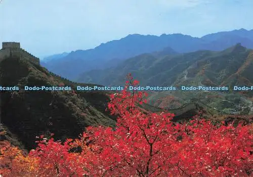 D290231 Herbst auf dem Badaling-Abschnitt der Großen Mauer in Peking. China Natio