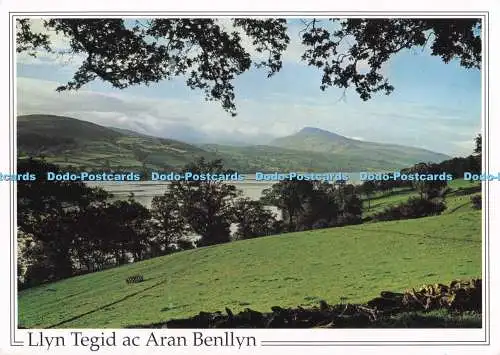 D294176 Llyn Tegid ac Aran Benllyn. Richter. C. 5928. X. 1995