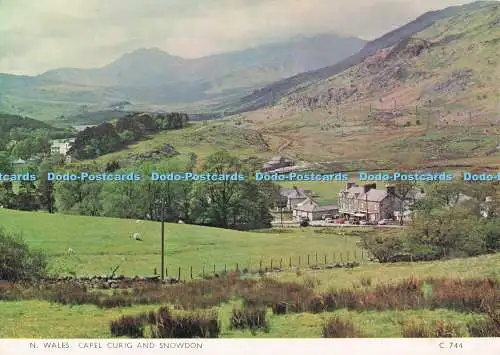 D294182 N. Wales Capel Curig and Snowdon. Richter. C. 744