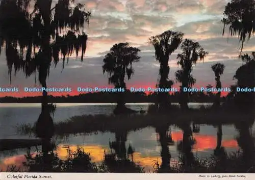 D297082 Bunt Florida. Sonnenuntergang. John Hinde. E. Ludwig