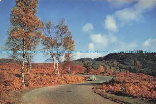 D291986 Schottland. Perthshire. Die Herzogsstraße zu den Trossachs. Aberfoyle. J. Arth