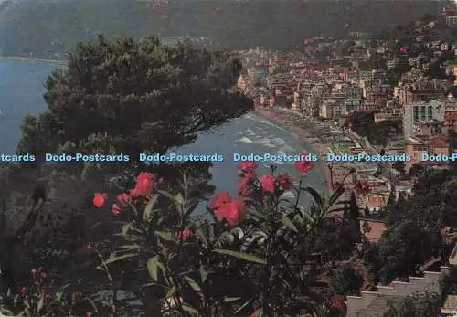 D297097 Riviera Dei Fiori. Alassio. Panorama. S.A.R