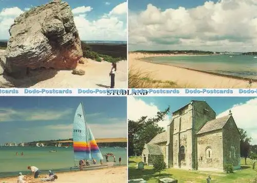 D297120 Studland. Shell Bay. Die Delpool-Bilderbibliothek. Delphindrucker. Mich