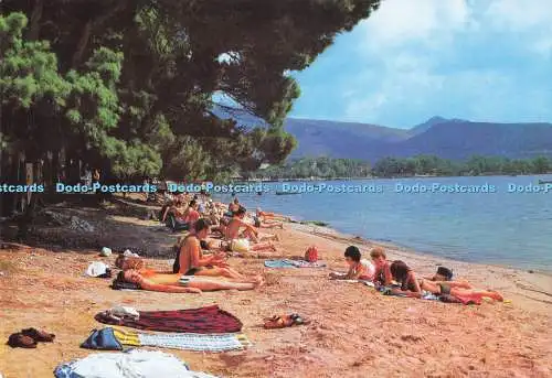 D292027 Mallorca. Puerto De Pollensa. Strand. A. Campana y J. Puig Ferran