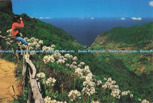 D297123 Encumeada. Madeira. Blick auf S. Vicente. Hans Huber. F. Ribeiro