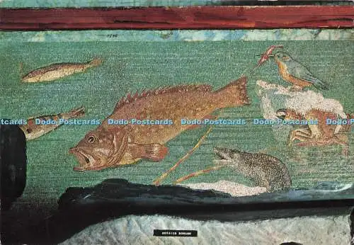 D290344 Ampurien. Mosaico Helenistico llamado. V.C. Fabregat