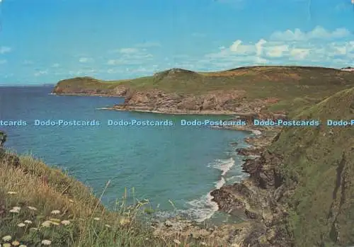 D292090 North Cornwall. Lundy Bay und Kellan Head Nr. Polzeath. Lilywhite. Brigh