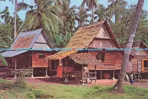 D297186 A Malay Kampong House Malacca