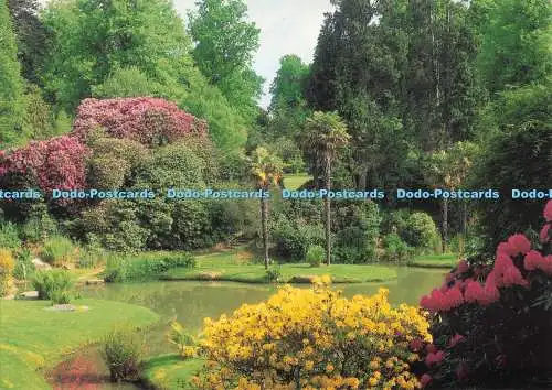 D294308 East Sussex. Sheffield Park Garden Nr. Uckfield. Palm Island. Richter. C.