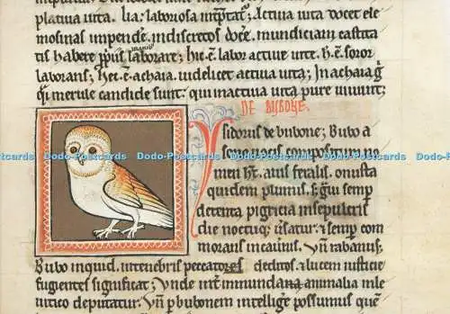 D294311 Oxford. Bodleian Library. Die Eule. Akademische Druck u. Verlagsanstalt.