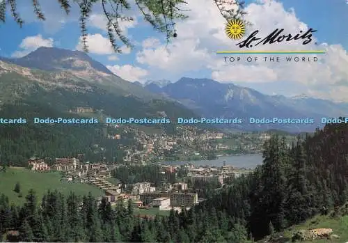 D297268 Engadin. Schweiz. St. Moritz. Montabella. Gerd Schafer