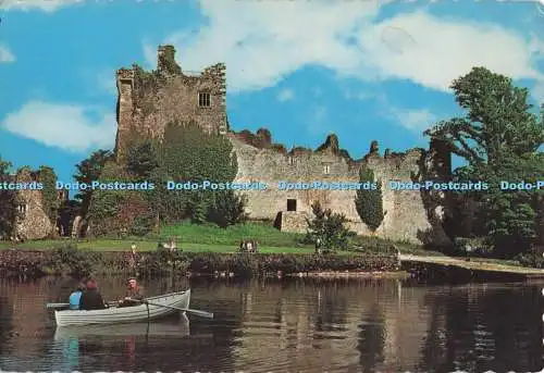 D297299 Killarney Co. Kerry. Ross Castle. Lough Leane. Dexter. N.P.O. PM. Roth
