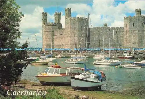 D294408 Caernarfon. Schloss und Hafen. J. Salmon. Sevenoaks. Kent