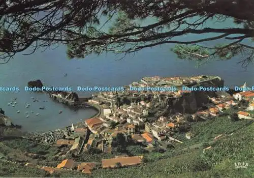 D297304 Madeira. Camara De Lobos. Fischerdorf. Francisco Ribeiro