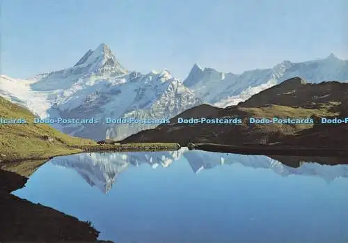 D297342 Bachalpsee. Berner Oberland. Stehli. Nr. 2578