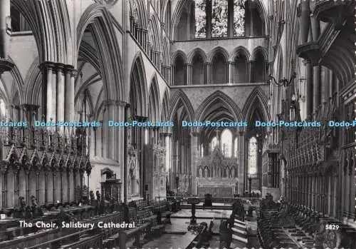 D297352 Kathedrale von Salisbury. Der Chor. Fotopräzision. St. Albans. RP