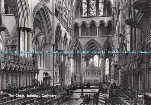 D297353 Kathedrale von Salisbury. Der Chor. Fotopräzision. St. Albans. RP