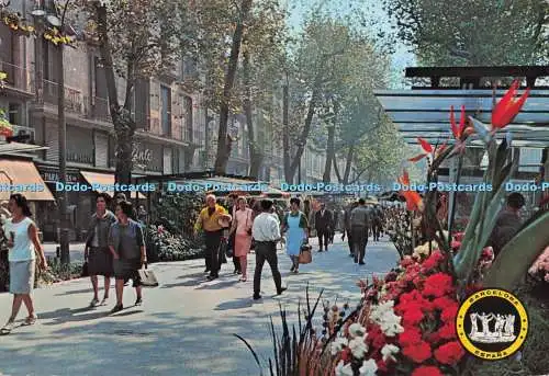 D297390 Barcelona. Rambla de las Flores. Ro Foto