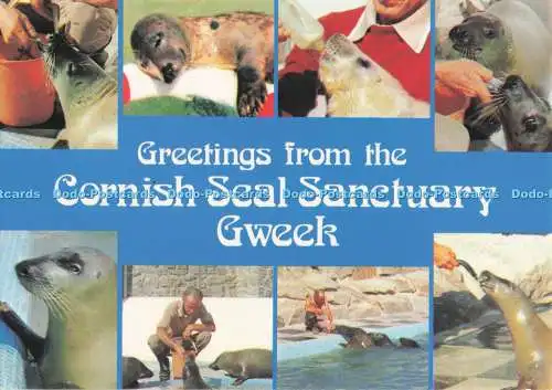 D294555 Grüße vom Cornish Seal Sanctuary Gweek. Fotopräzision. Multi