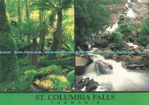 D290666 Tasmanien. St. Columbia Falls. Bartel. Multi View